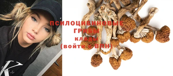 метамфетамин Саяногорск