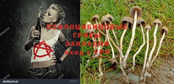 кокаин колумбия Аркадак
