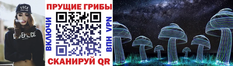 Галлюциногенные грибы мицелий  Горячий Ключ 